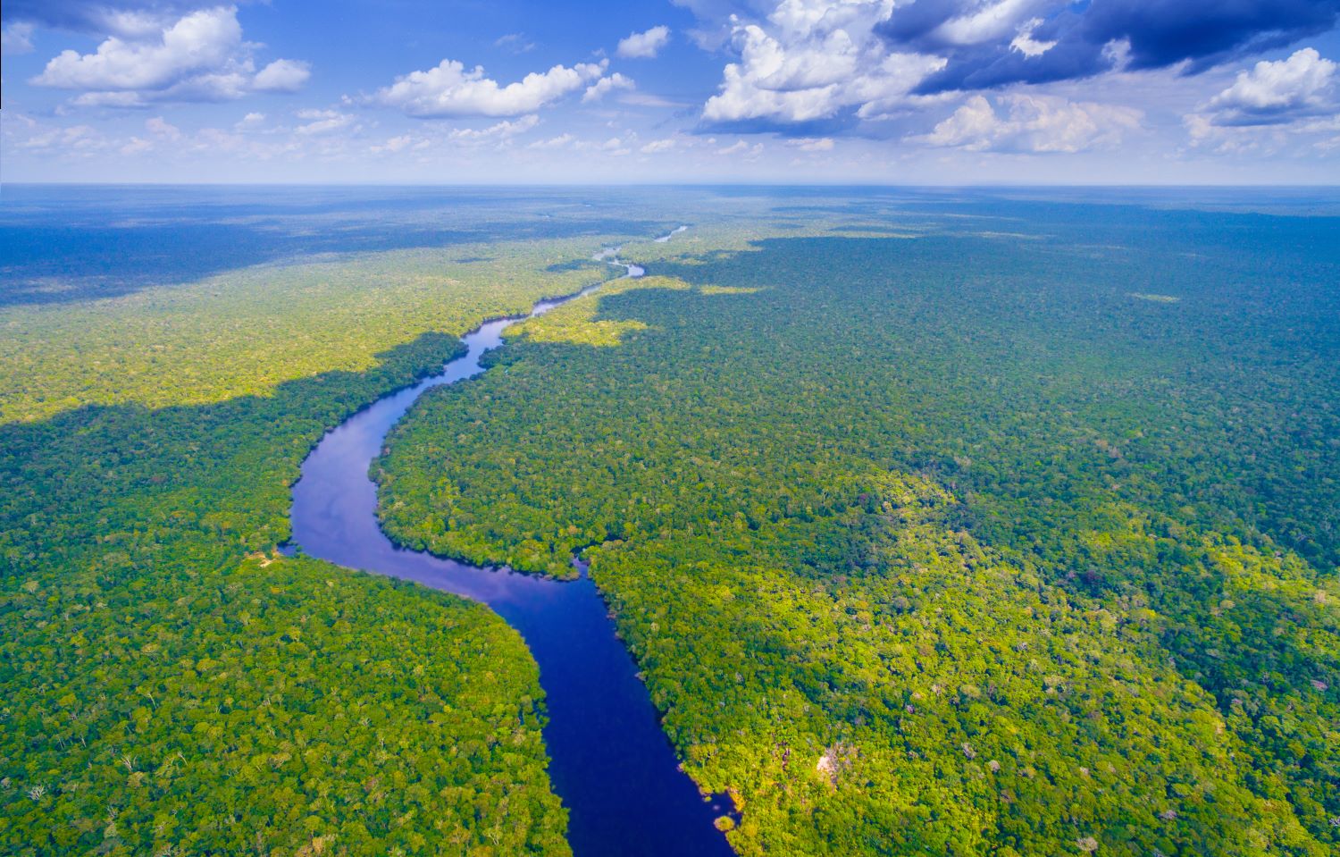 The Amazon is losing its ability to "rebound" from destruction