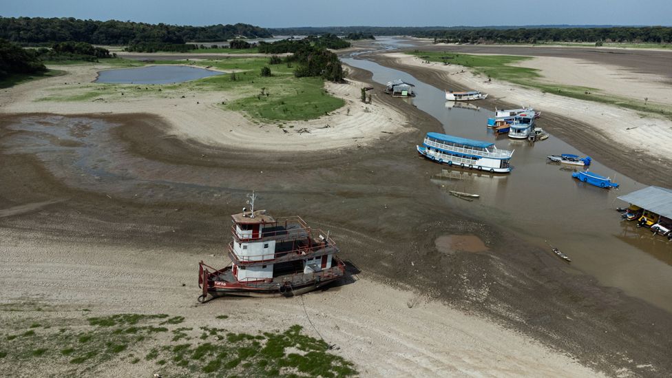 Amazon drought leads to lowest Rio Negro levels in 120 years